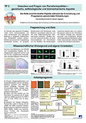 Vorschaubild KFO208 TP2