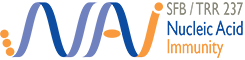 Nucleic Acid Immunity Logo