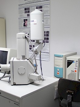 Rasterelektronenmikroskop mit EDX-Einheit