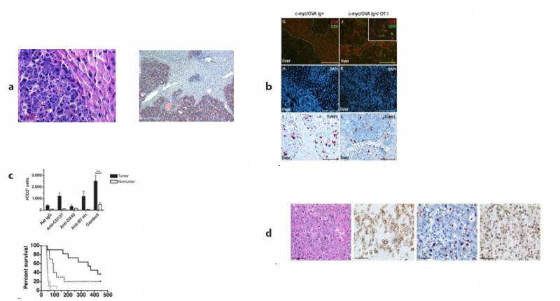 Ag Guetgemann Pathologie