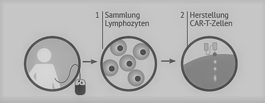 Grafik Zelltherapie