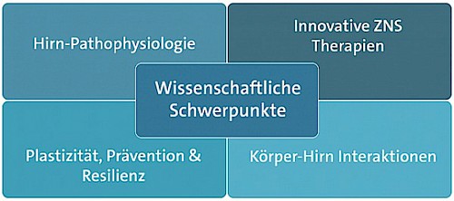 Wissenschaftliche Schwerpunkte Funktionelle Neurobildgebung