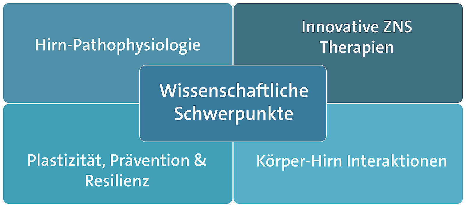 Grafik Klinische Funktionelle Neurobildgebung