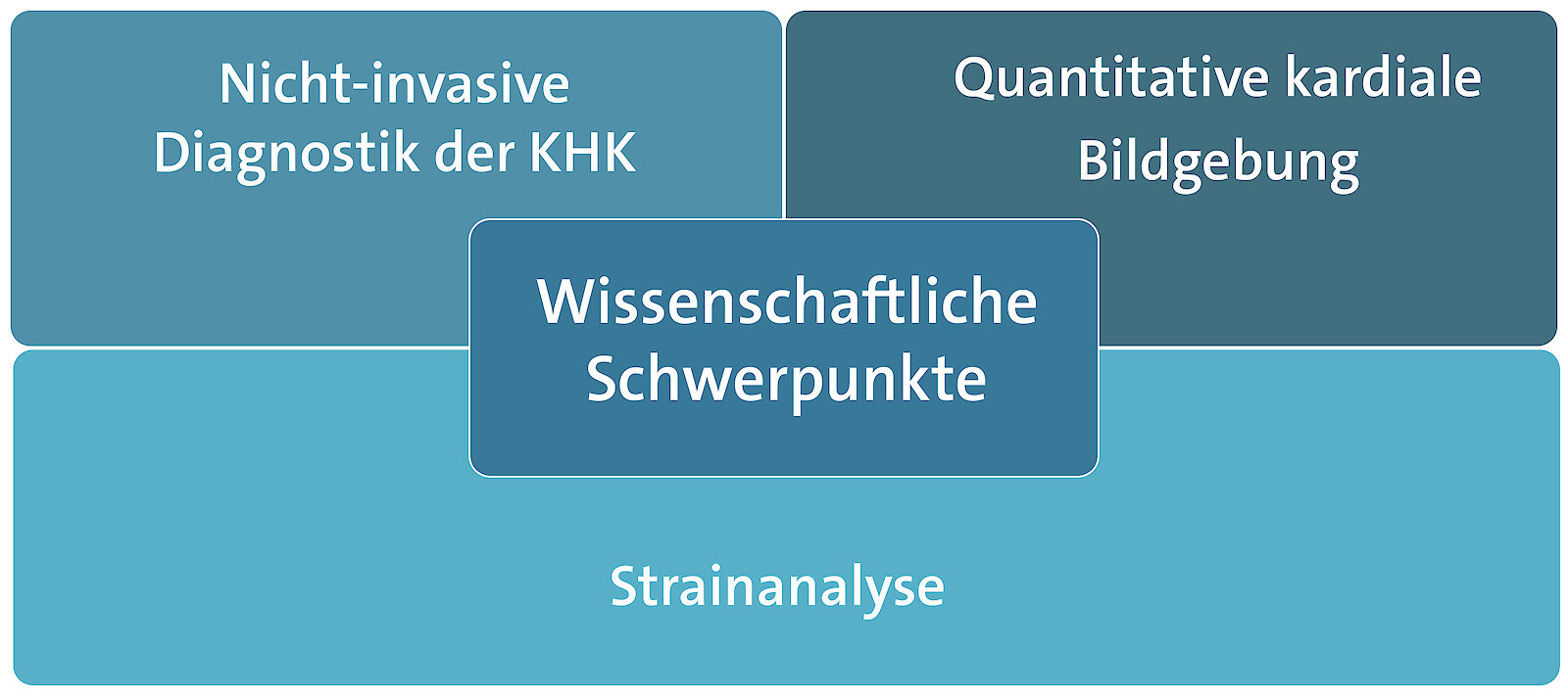 Grafik Kardiale Bildgebung