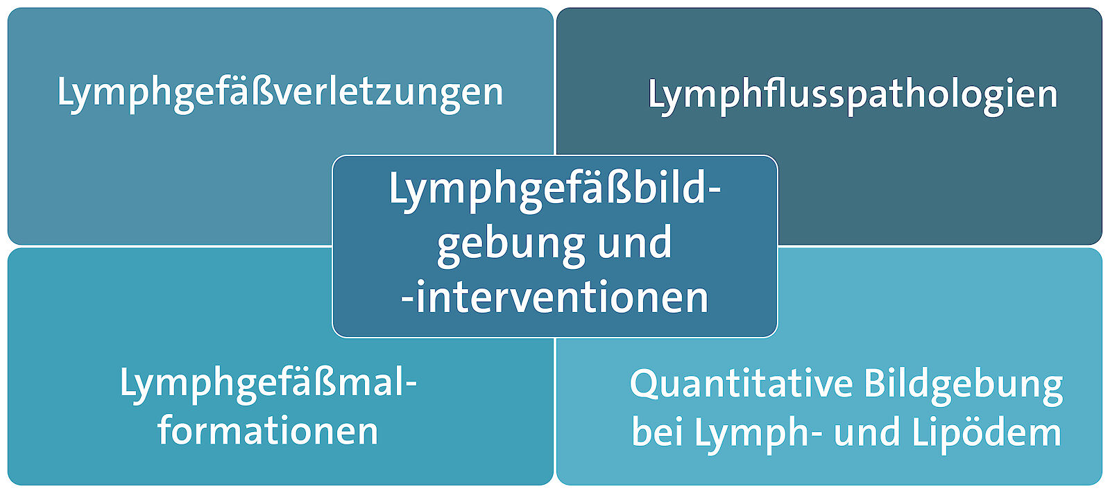 Grafik Lymphgefäßbildung
