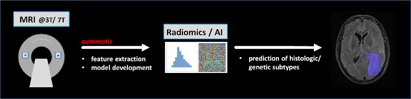 Grafik Computational Neuroradiology