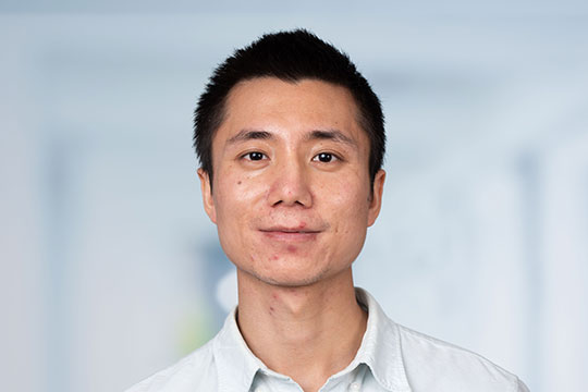 Tao Li Tao Li