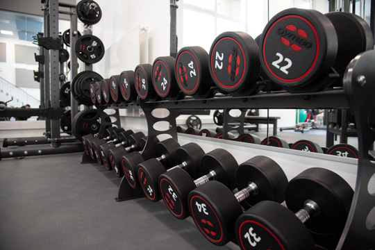 Hantelbank Ukb Fit