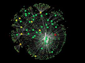 Aipositas Protein Interaction Network