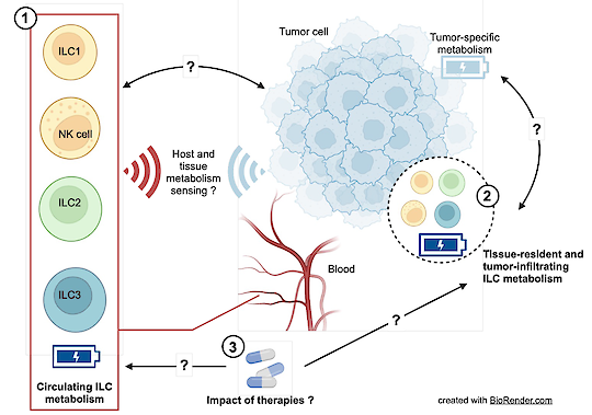 UKB Arbeitsgruppe Surace