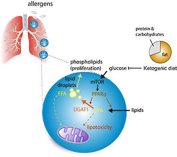 Figure 2 Wilhelm Group