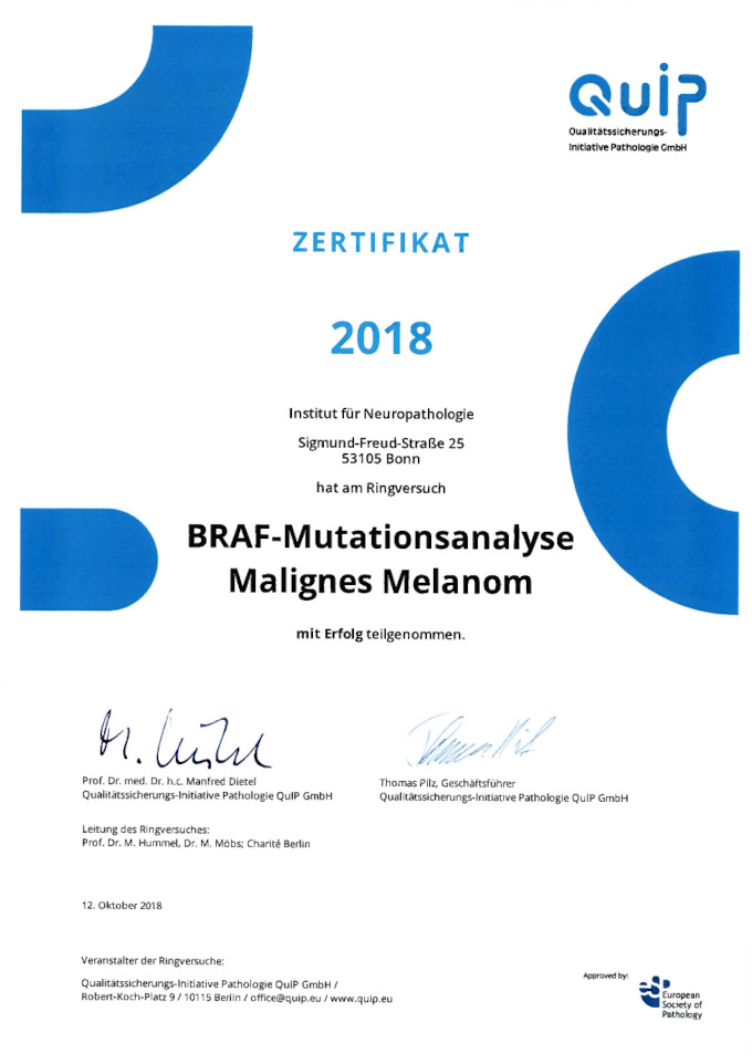 2018 Quip Braf Mutationsanalyse