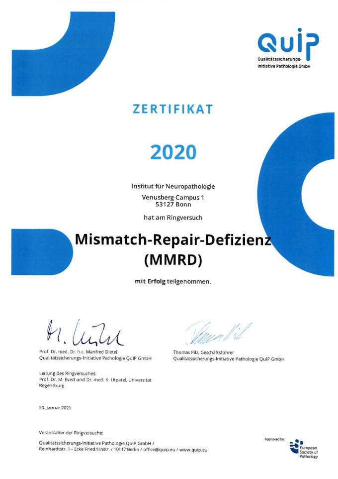 2020 Quip Mismatch Repair Defizienz Mmrd