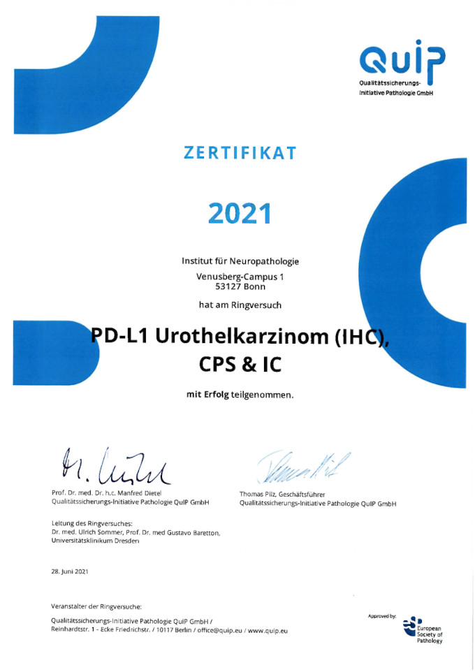 2021 Quip Pd L1 Urothelkarzinom Ihc