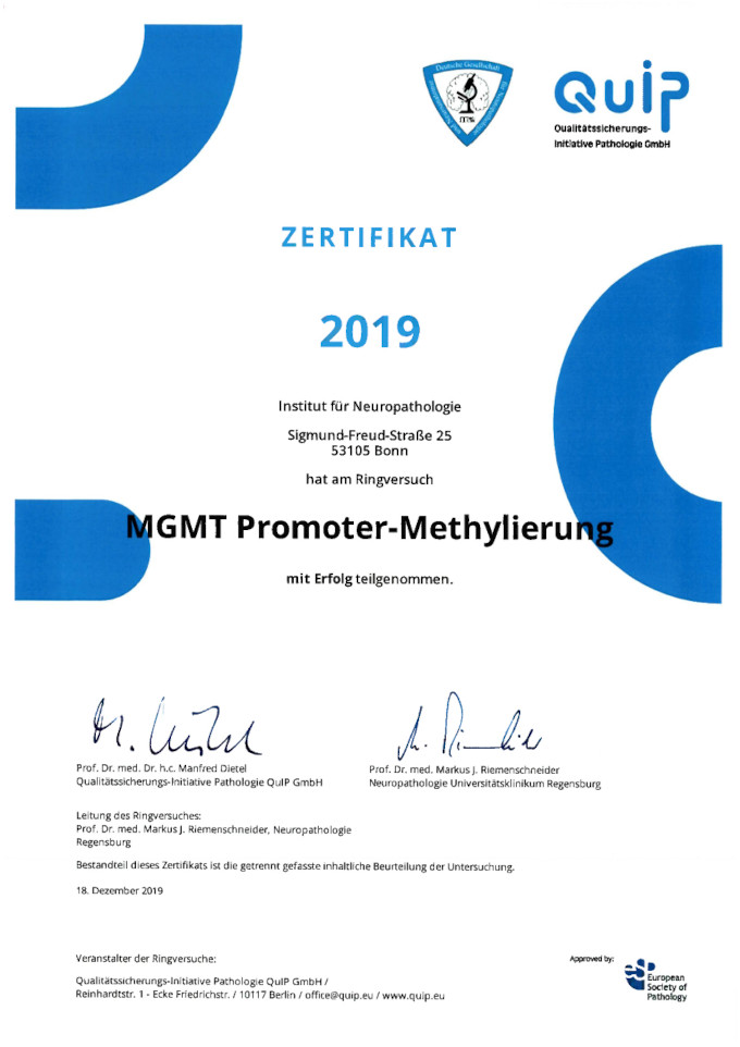 2019 Quip Mgmt Promoter Methylierung