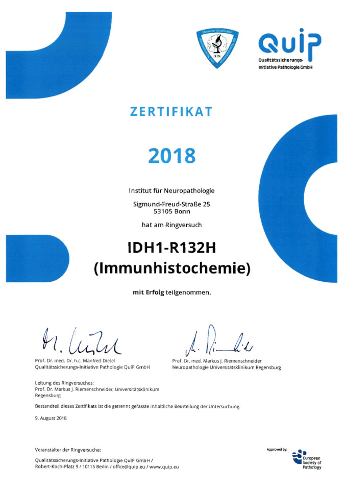 2018 Quip Idh1 R132h Immunhistochemie