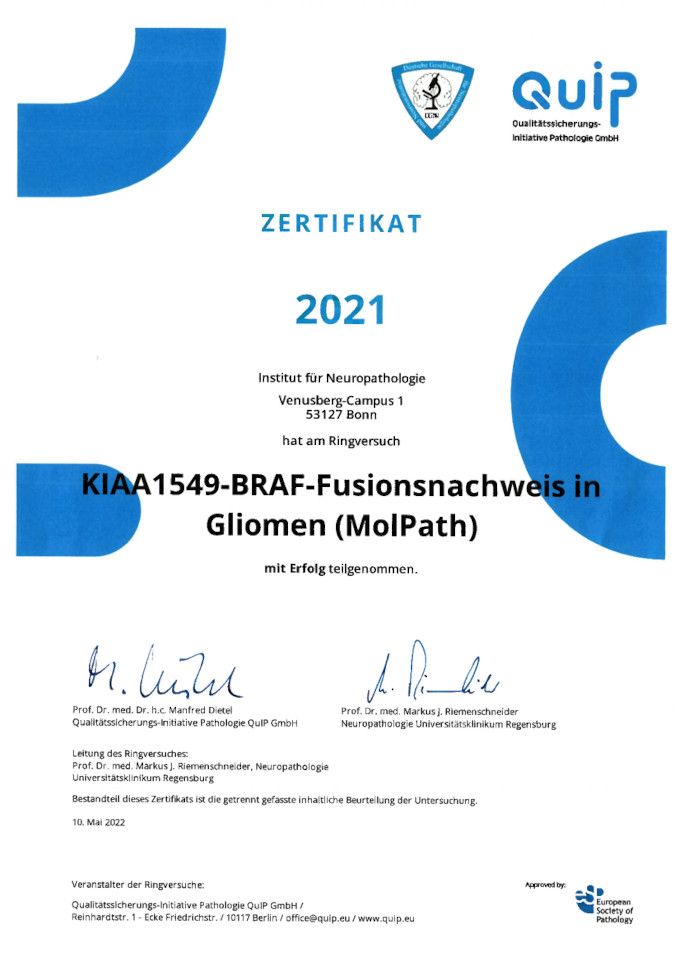 2021 Quip Kiaa1549 Braf Fusionsnachweis
