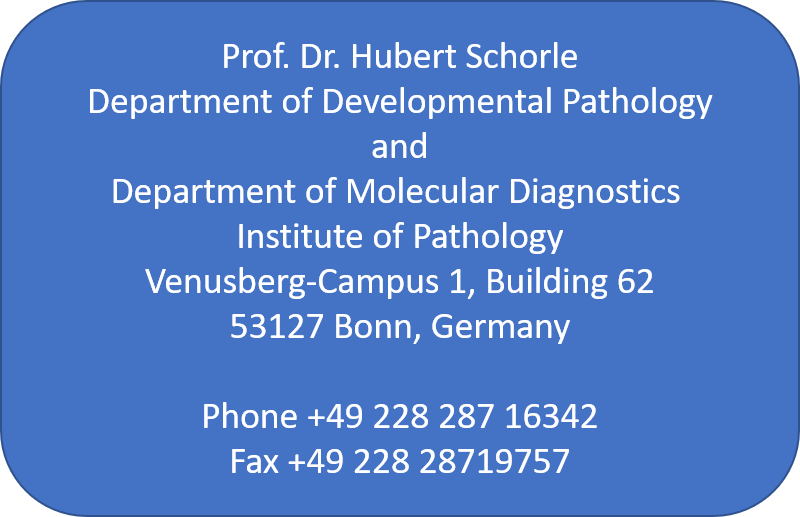 Research Pathologie AG Prof. Dr. Hubert Schorle