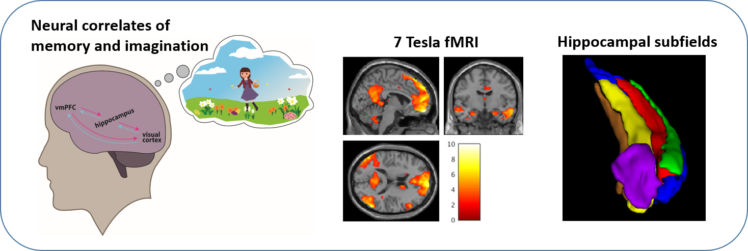 Memory and Imagination, Gerontopsychiatrie, Mc Cormick Cornelia