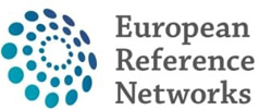 Logo Ern