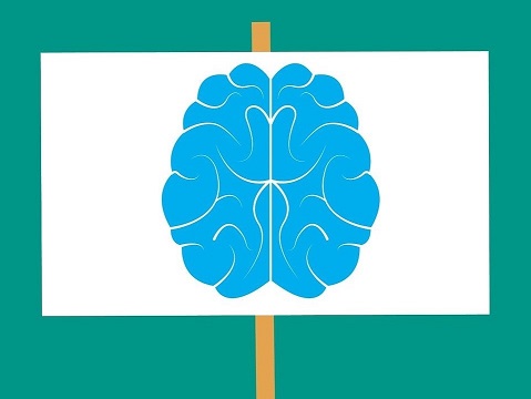 Brain Sign 540 360