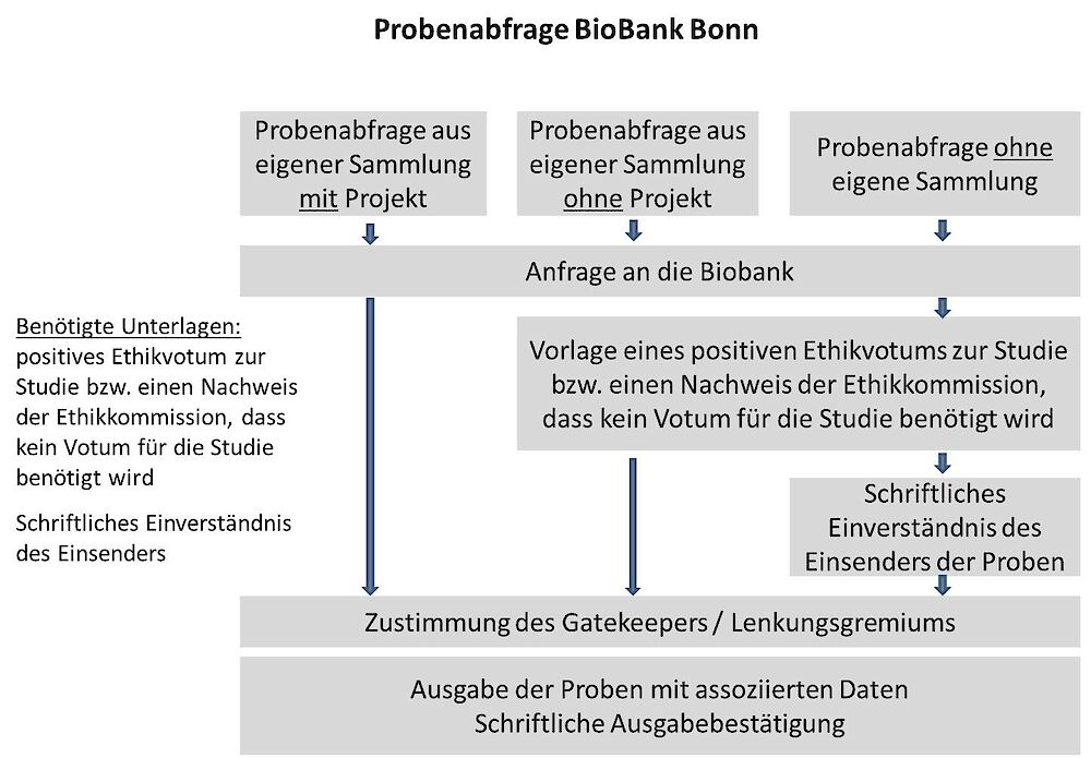 Probenabfrage Biobank