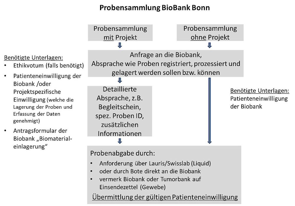 Probensammeln Biobank