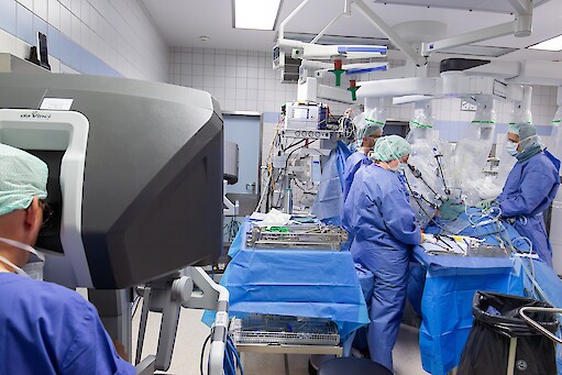 Die Nutzung dieses Bildes ist urheberrechtlich eingeschr&auml;nkt und bedarf der vorherigen schriftlichen Genehmigung von Bj&ouml;rn Osterwald.