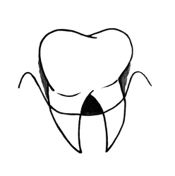 Pa Icon Removebg Preview 1