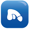 Icon Andrologie - Penis