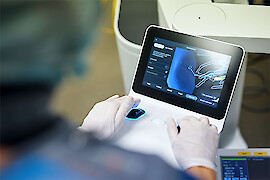 Die Nutzung dieses Bildes ist urheberrechtlich eingeschr&auml;nkt und bedarf der vorherigen schriftlichen Genehmigung von Bj&ouml;rn Osterwald.