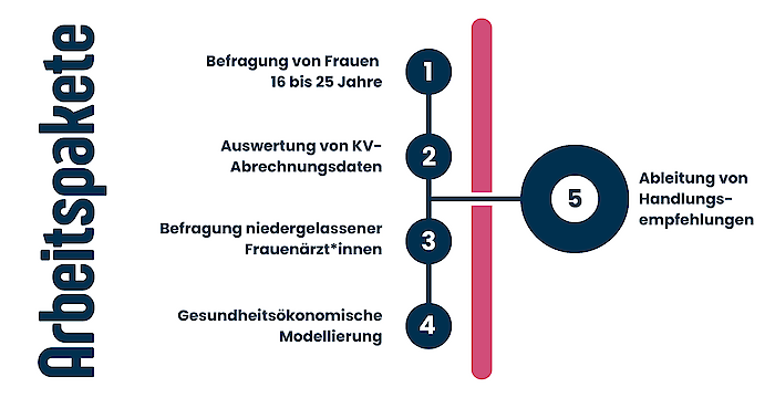 CHSR_FemScreen_CT_Bild_Arbeitspakete