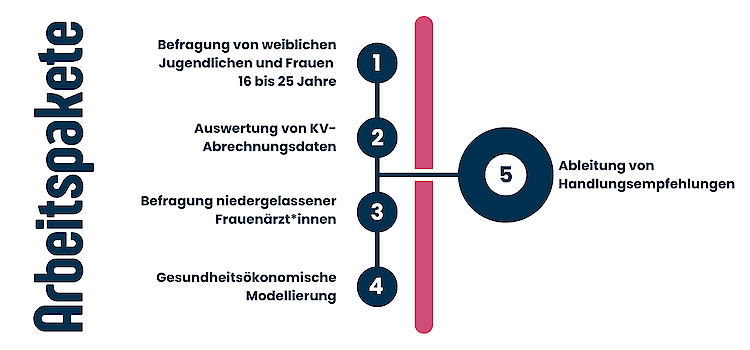 Chsr_Projekt_Femscreen_Ct_Uebersicht