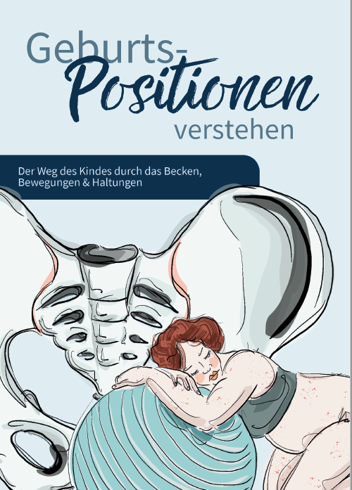 Mam Care Geburtspositionen Broschure