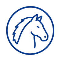 Icon Pferd