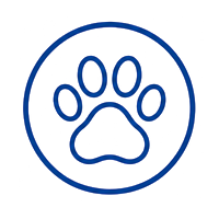 Icon Tatze