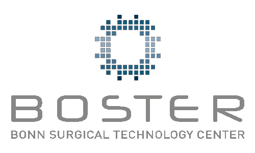 Boster Logo